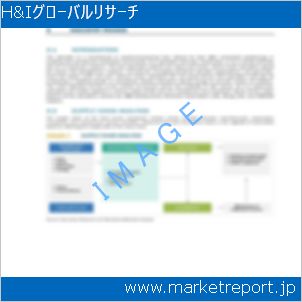 市場と産業調査レポートのイメージ